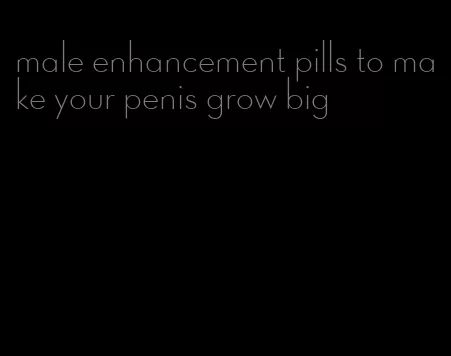 male enhancement pills to make your penis grow big