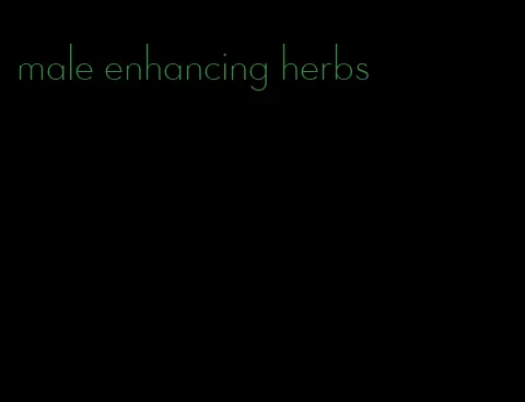 male enhancing herbs