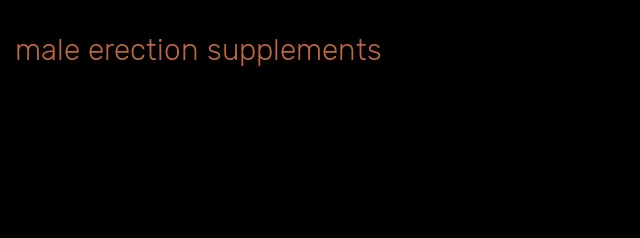 male erection supplements