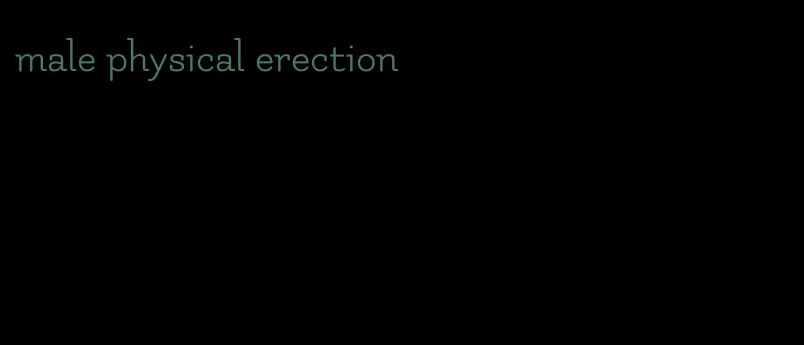 male physical erection