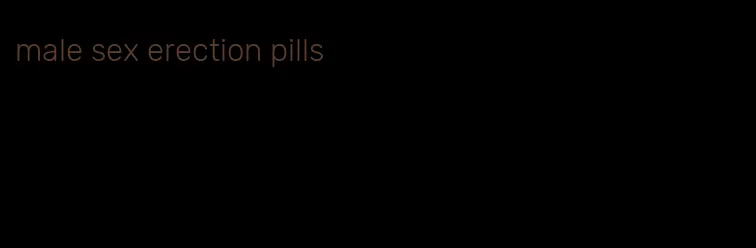 male sex erection pills