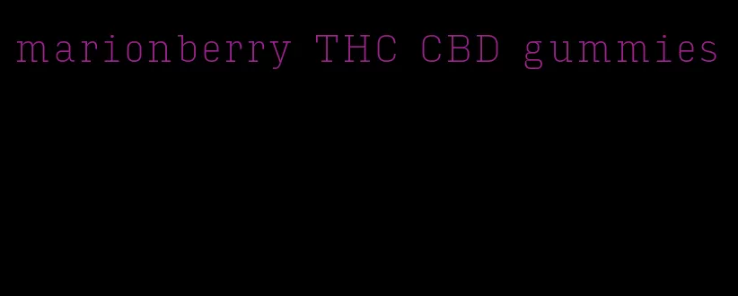 marionberry THC CBD gummies