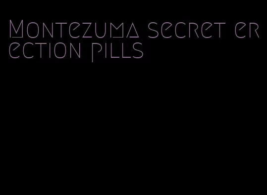 Montezuma secret erection pills