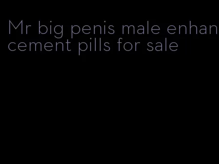 Mr big penis male enhancement pills for sale