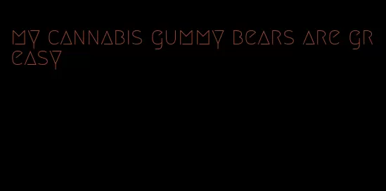 my cannabis gummy bears are greasy