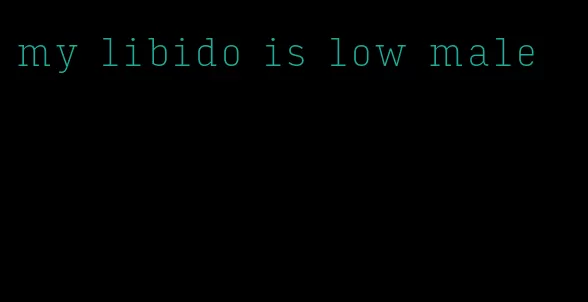 my libido is low male