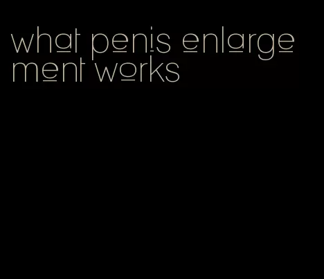 what penis enlargement works