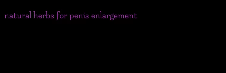 natural herbs for penis enlargement