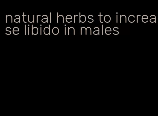 natural herbs to increase libido in males