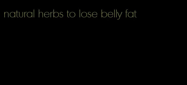 natural herbs to lose belly fat