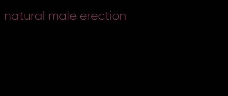 natural male erection