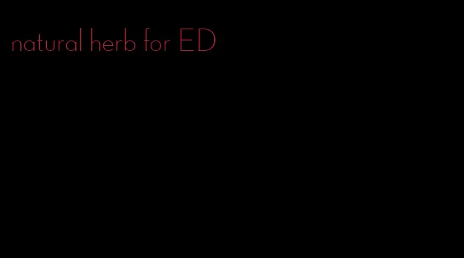 natural herb for ED