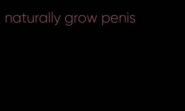 naturally grow penis