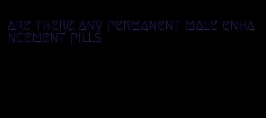 are there any permanent male enhancement pills