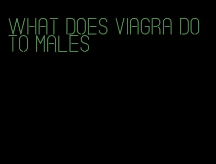 what does viagra do to males