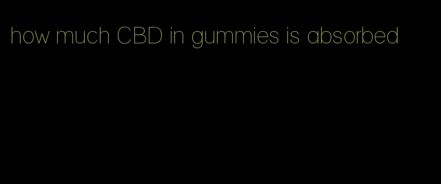 how much CBD in gummies is absorbed