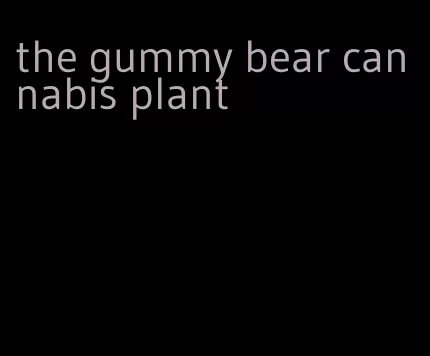 the gummy bear cannabis plant