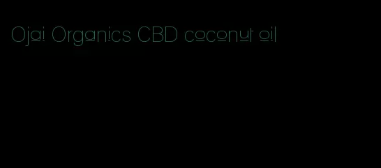 Ojai Organics CBD coconut oil