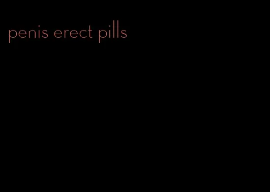 penis erect pills