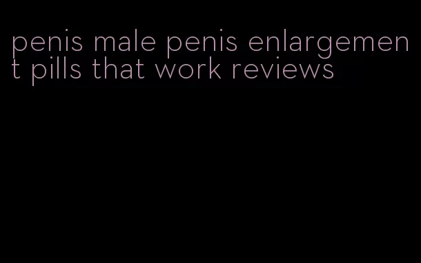 penis male penis enlargement pills that work reviews