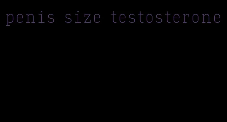 penis size testosterone