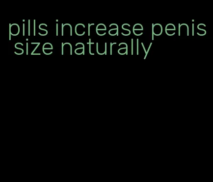 pills increase penis size naturally