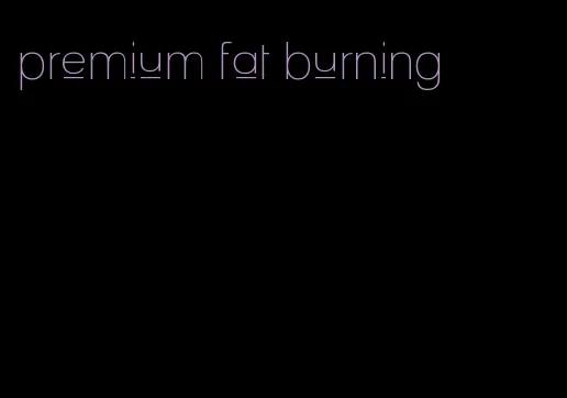 premium fat burning