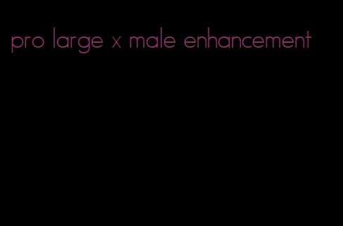 pro large x male enhancement