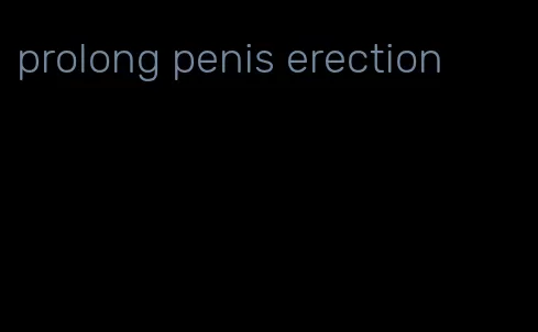 prolong penis erection