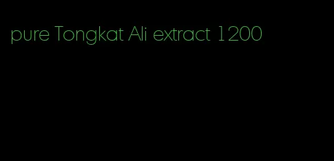 pure Tongkat Ali extract 1200