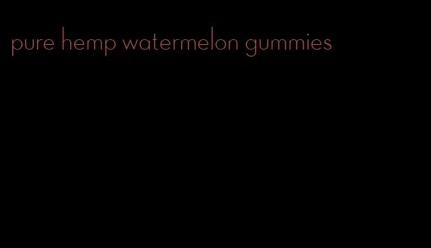 pure hemp watermelon gummies