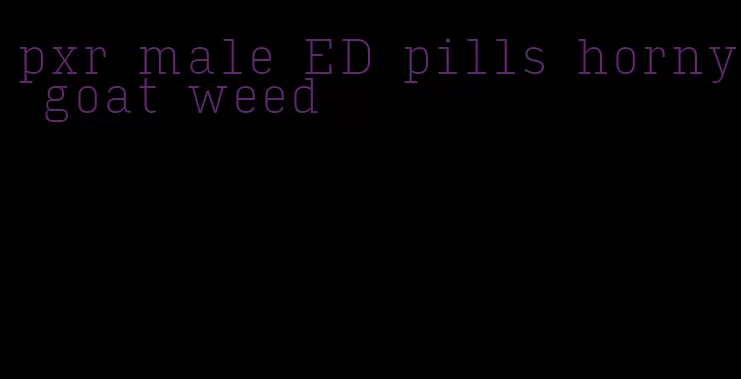 pxr male ED pills horny goat weed