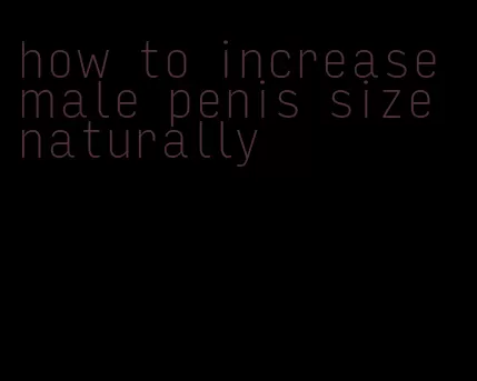 how to increase male penis size naturally