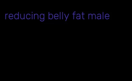 reducing belly fat male