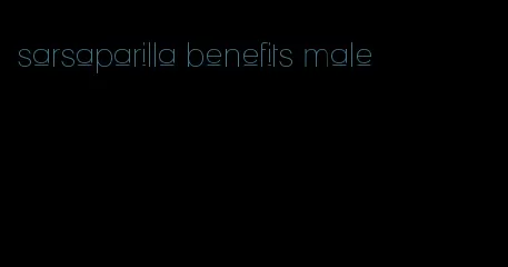 sarsaparilla benefits male