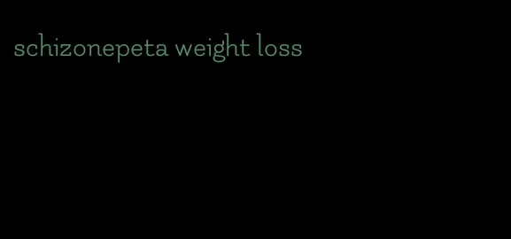 schizonepeta weight loss