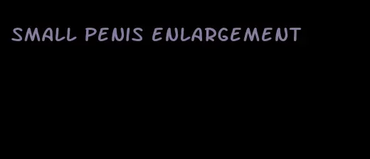 small penis enlargement