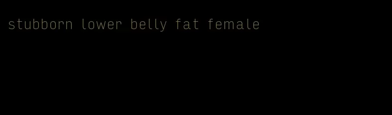 stubborn lower belly fat female