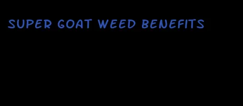 super goat weed benefits