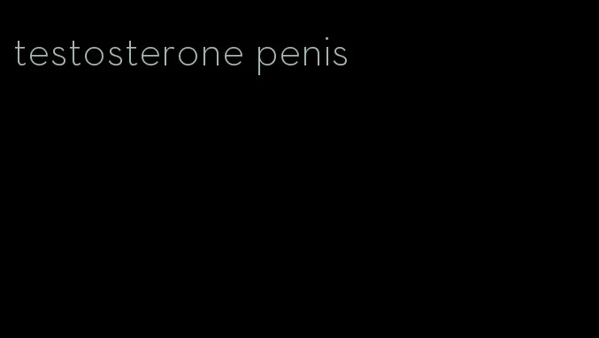 testosterone penis