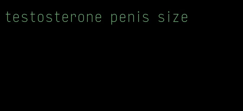 testosterone penis size