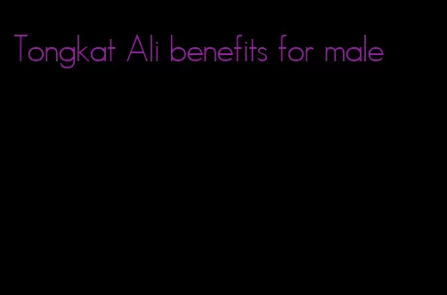 Tongkat Ali benefits for male