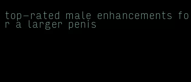 top-rated male enhancements for a larger penis