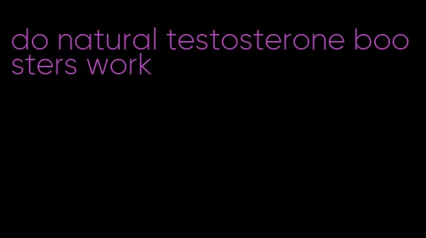 do natural testosterone boosters work