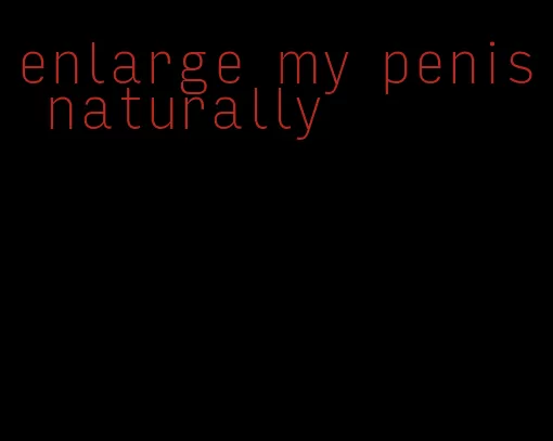 enlarge my penis naturally