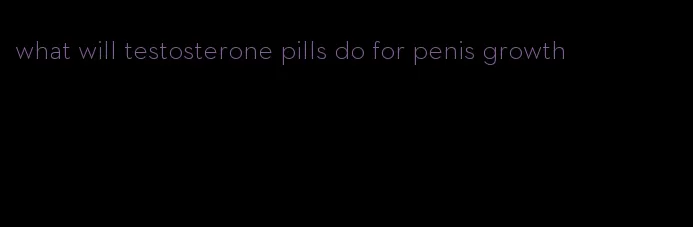 what will testosterone pills do for penis growth