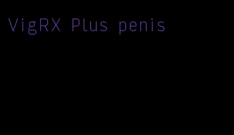 VigRX Plus penis