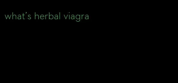 what's herbal viagra