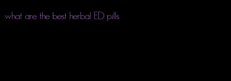 what are the best herbal ED pills