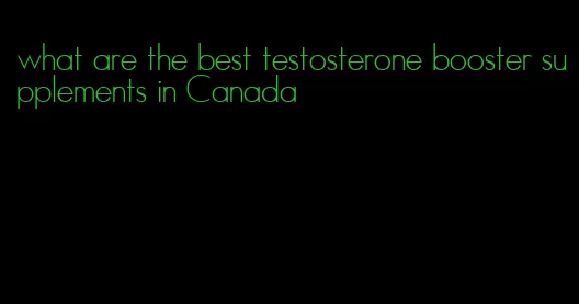 what are the best testosterone booster supplements in Canada